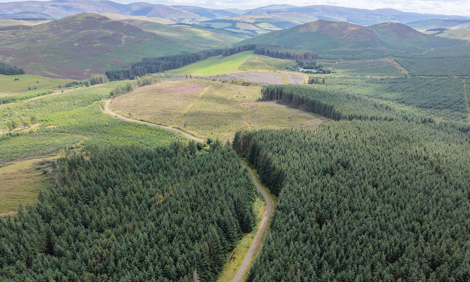 DJI_20260730153656_0137_D