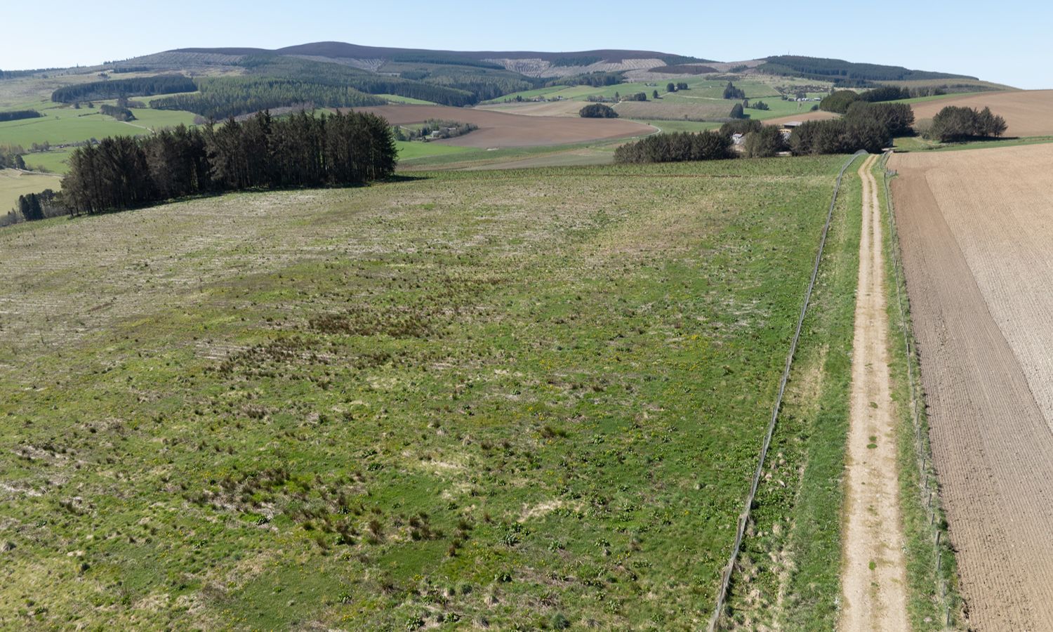 DJI_0333
