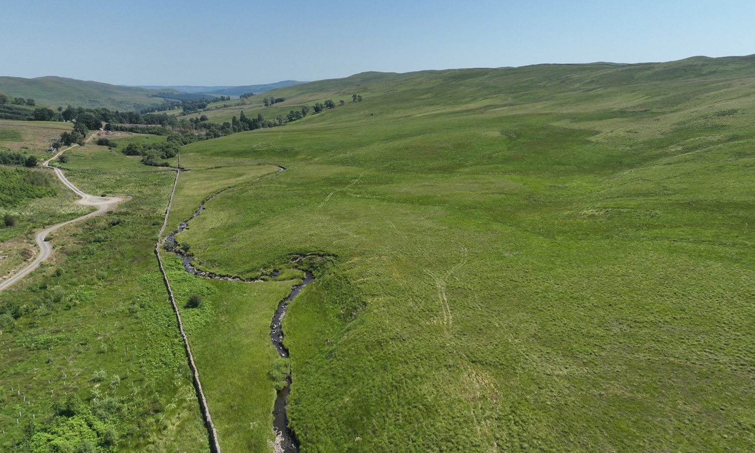 DJI_0419