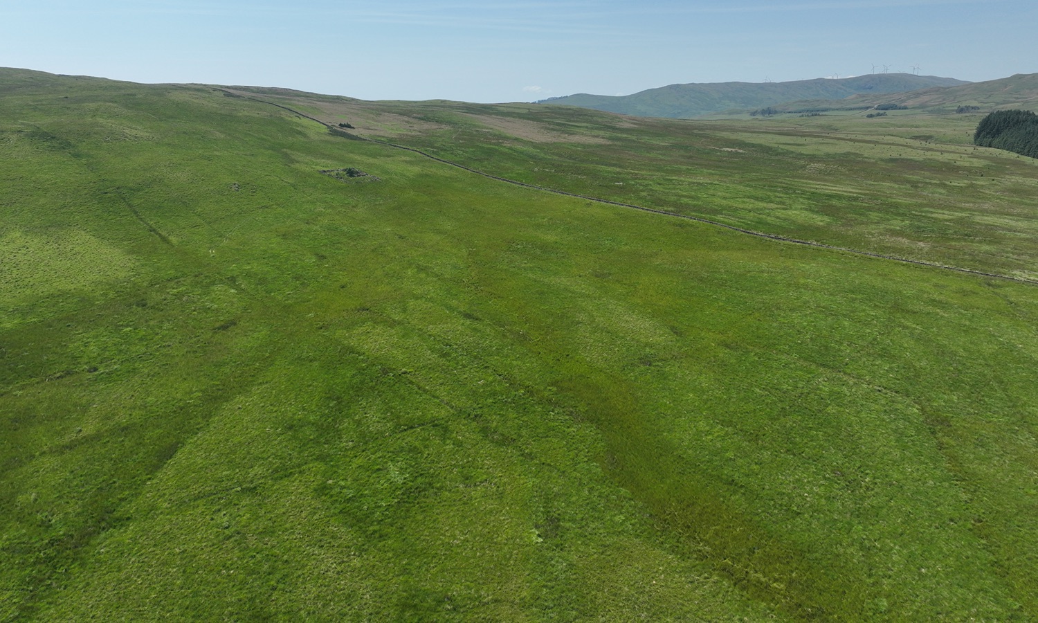 DJI_0430
