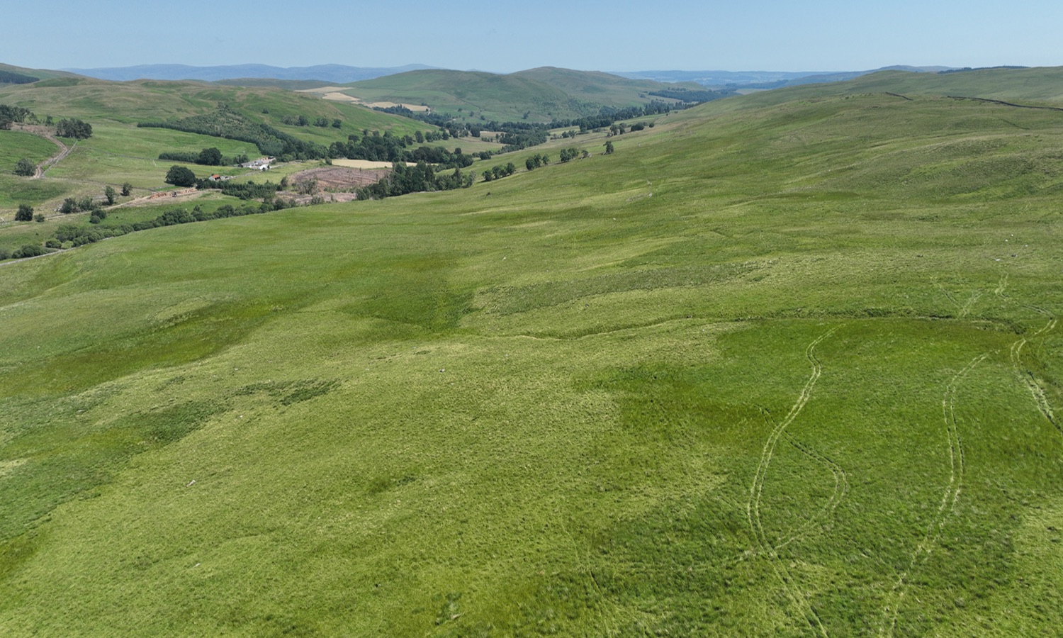 DJI_0443