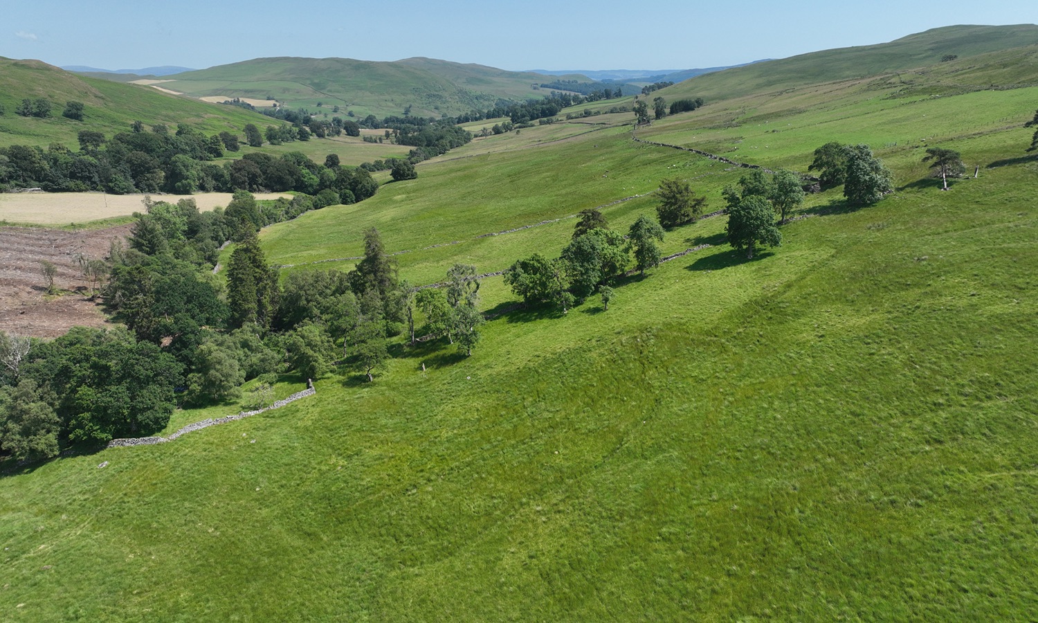 DJI_0466