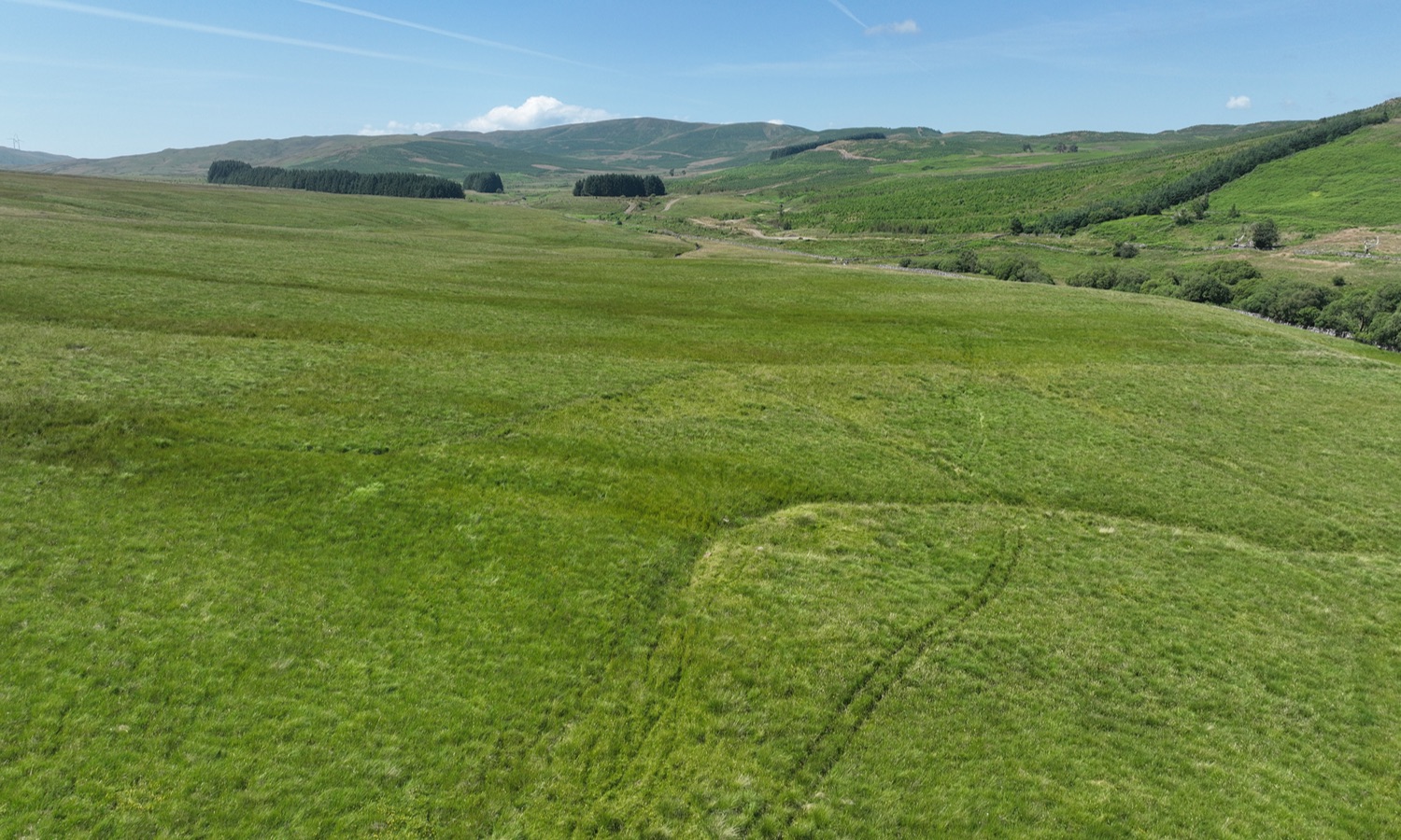 DJI_0470