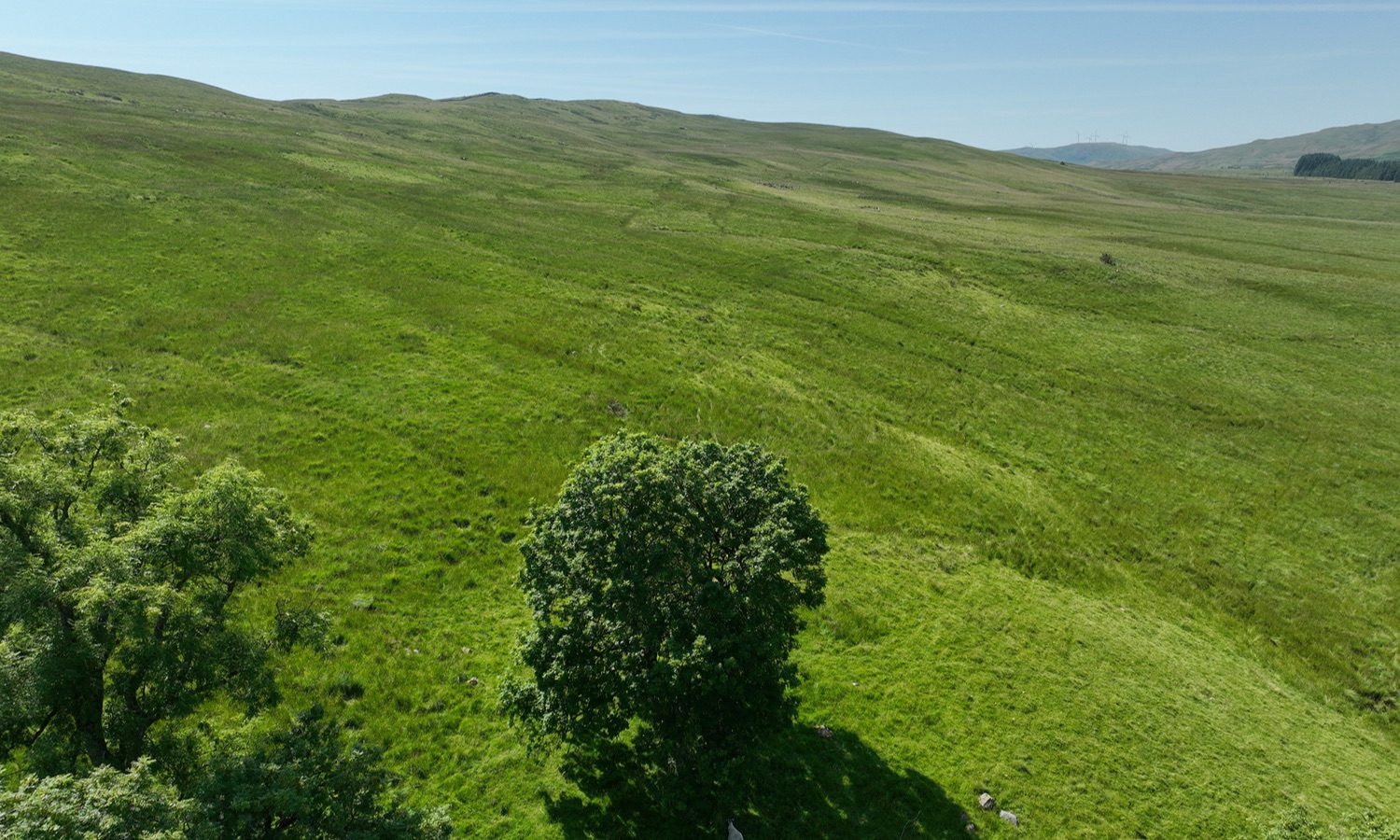DJI_0501