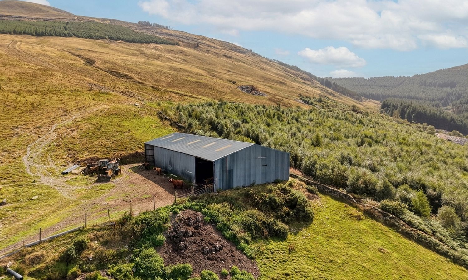 DJI_20260824111103_0378_D_CYMRUD_HDR.jpeg_20261008143508_upscaled