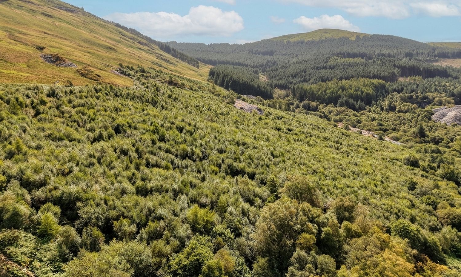 DJI_20260824111151_0390_D_CYMRUD_HDR.jpeg_20261008143508_upscaled