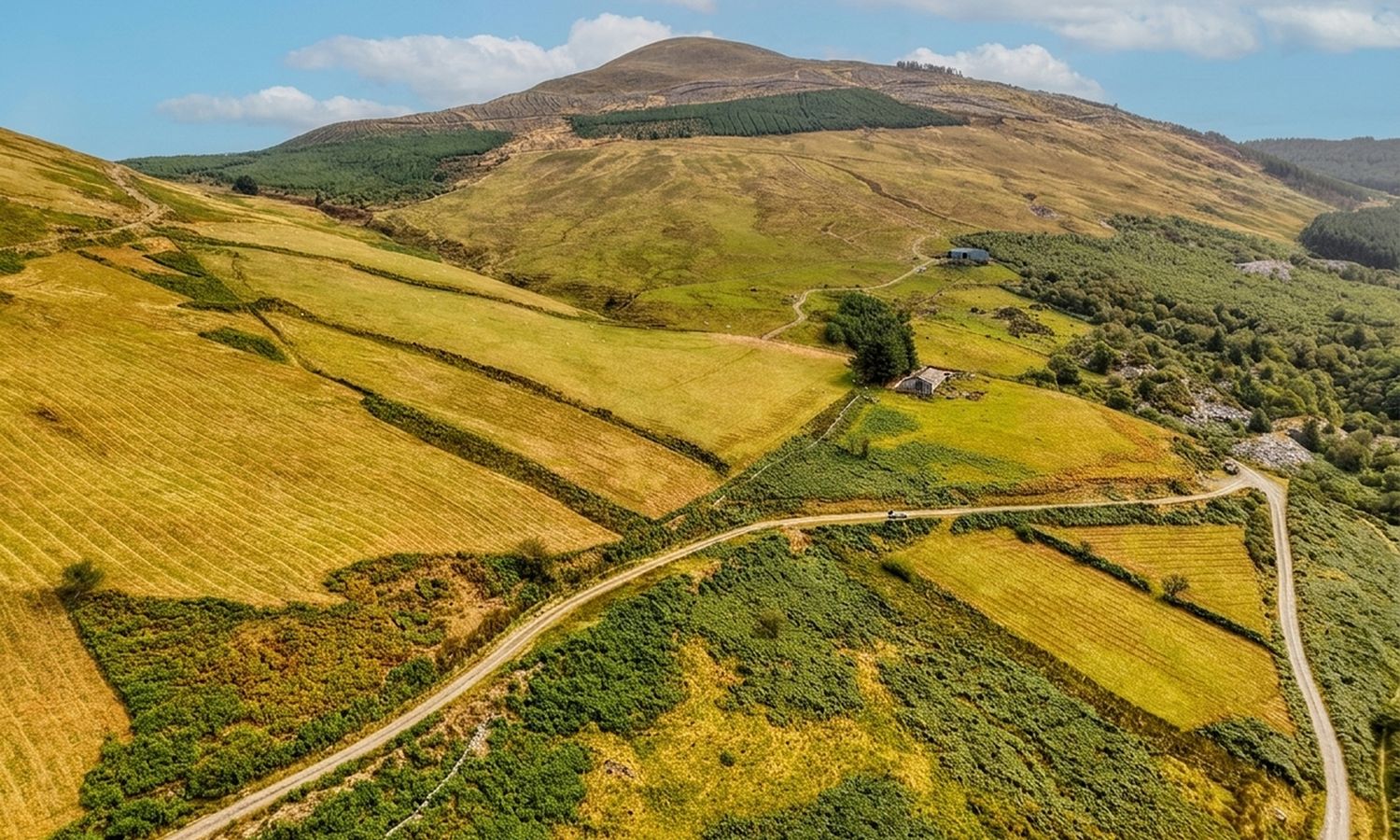 DJI_20260824115257_0480_D_CYMRUD_HDR.jpeg_20261008143508_upscaled